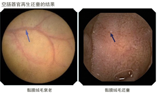 bevictor伟德-bv伟德国际体育官方网站