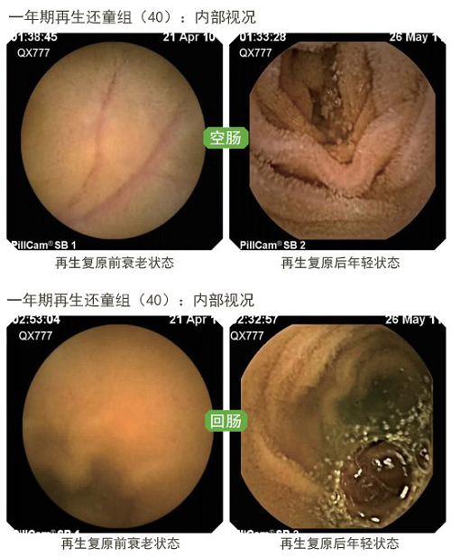bevictor伟德-bv伟德国际体育官方网站