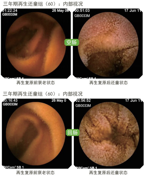 bevictor伟德-bv伟德国际体育官方网站