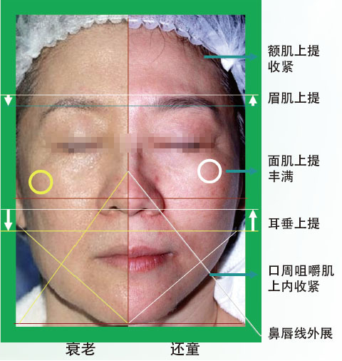 bevictor伟德-bv伟德国际体育官方网站