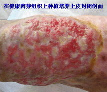 bevictor伟德-bv伟德国际体育官方网站
