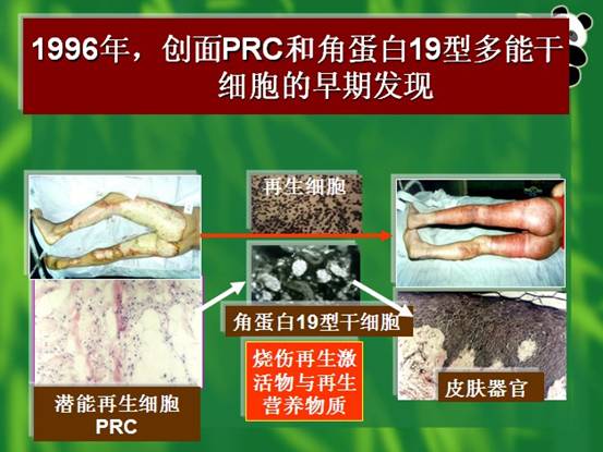 bevictor伟德-bv伟德国际体育官方网站
