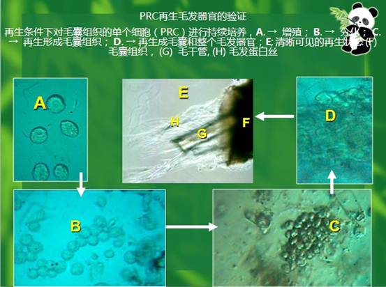 bevictor伟德-bv伟德国际体育官方网站