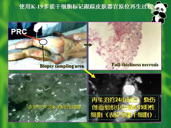 bevictor伟德-bv伟德国际体育官方网站