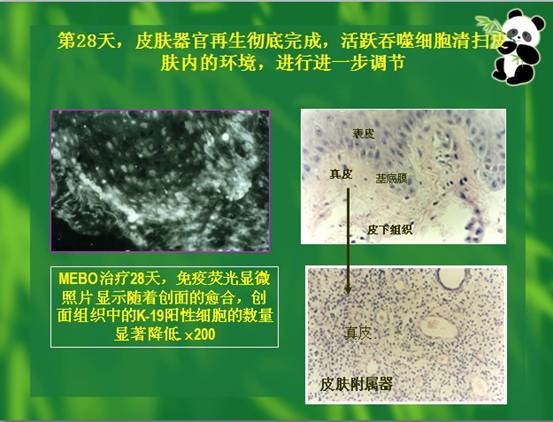 bevictor伟德-bv伟德国际体育官方网站