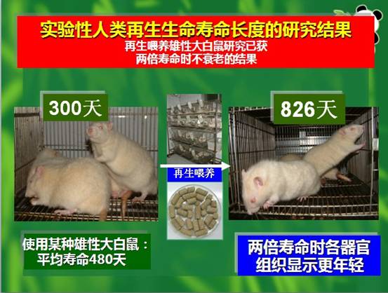 bevictor伟德-bv伟德国际体育官方网站