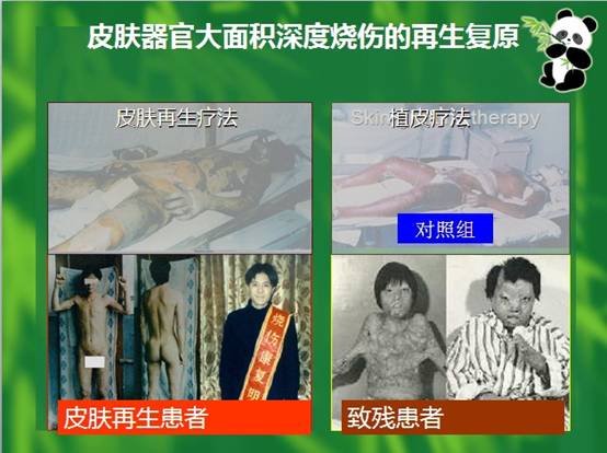 bevictor伟德-bv伟德国际体育官方网站