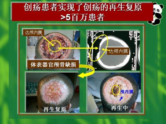bevictor伟德-bv伟德国际体育官方网站