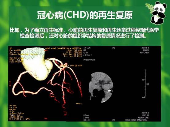bevictor伟德-bv伟德国际体育官方网站