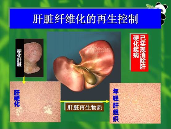 bevictor伟德-bv伟德国际体育官方网站