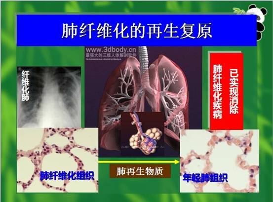 bevictor伟德-bv伟德国际体育官方网站