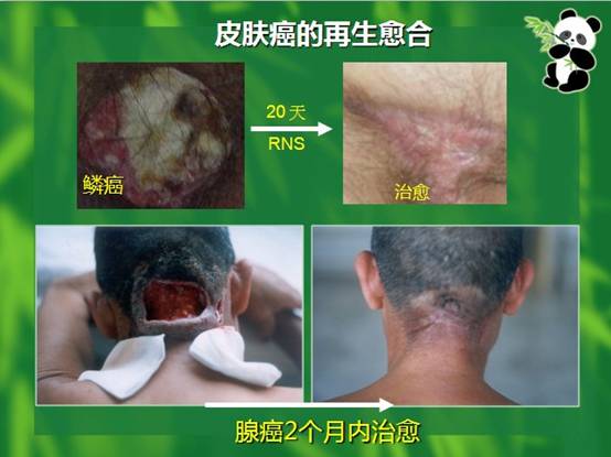 bevictor伟德-bv伟德国际体育官方网站