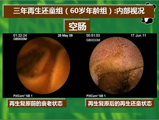 bevictor伟德-bv伟德国际体育官方网站