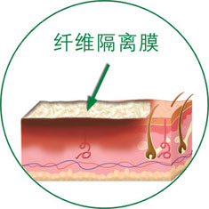 bevictor伟德-bv伟德国际体育官方网站