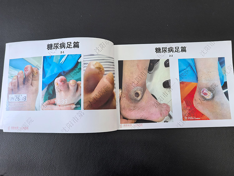 bevictor伟德-bv伟德国际体育官方网站