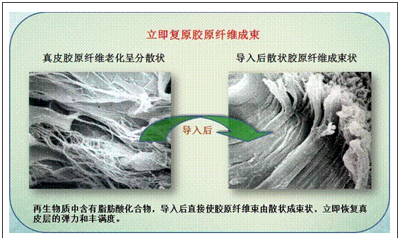 bevictor伟德-bv伟德国际体育官方网站