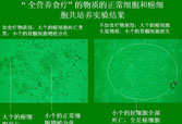 bevictor伟德-bv伟德国际体育官方网站