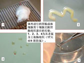 bevictor伟德-bv伟德国际体育官方网站